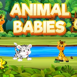 Animal Babies online