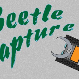 Beetle capture online
