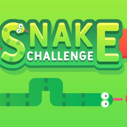 Snake Challenge online