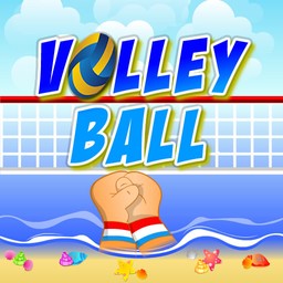 Volley ball online