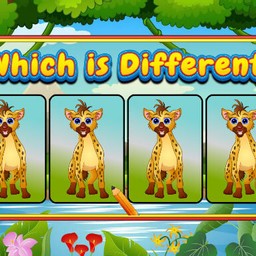 Which Is Different Animal online