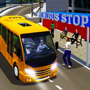 City Minibus Driver online