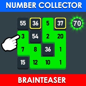 Number Collector: Brainteaser online